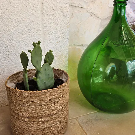 Villa Trullo Di Angela - With Private Pool