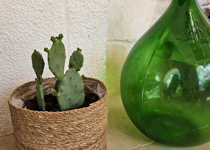 빌라 Trullo Di Angela - With Private Pool